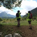 Volunteers on a trail
