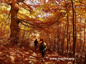 Volontari di Inachis su un sentiero del Parco d'Abruzzo, Lazio e Molise in autunno