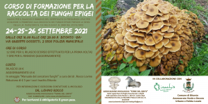 corso funghi 2021 evento (2)